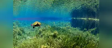 El centro Aquatis, uno de los mayores acuarios de agua dulce de Europa, dedicado a los ecosistemas fluviales y lacustres del planeta. El centro Aquatis, uno de los mayores acuarios de agua dulce de Europa, dedicado a los ecosistemas fluviales y lacustres del planeta.
