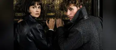 La película llegará a los cines el 15 de noviembre Animales Fantásticos 2: Se estrenó el primer tráiler de los Crímenes de Grindelwald