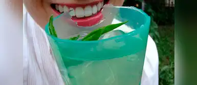 Con esta máquina se podrá crear vasos comestibles Crean máquina que fabrica vasos comestibles. ¡Su sabor es especial!