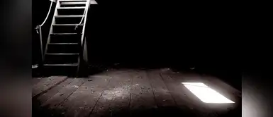 Gracias a una rápida intervención el perrito pudo ser rescatado de la oscuridad en la que vivía. Pareja compró una casa y descubrieron un cruel secreto en el sótano