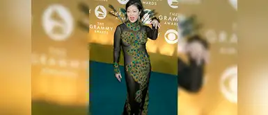 Margaret Cho: La comediante estadounidense escogió para la entrega número 46 de los Grammy Awards un modelo bastante excéntrico. Llamó mucho la atención porque emulaba ser un pavo real. Margaret Cho: La comediante estadounidense escogió para la entrega número 46 de los Grammy Awards un modelo bastante excéntrico. Llamó mucho la atención porque emulaba ser un pavo real.