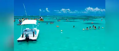 El mar ver de Maceió, Brasil. La agencia Despegar.com ofrece paquetes, saliendo de las principales ciudades brasileñas, a Maceió a partir de US$ 1,059 por persona, con hoteles bien localizados y que ofrecen desayuno. El mar ver de Maceió, Brasil. La agencia Despegar.com ofrece paquetes, saliendo de las principales ciudades brasileñas, a Maceió a partir de US$ 1,059 por persona, con hoteles bien localizados y que ofrecen desayuno.