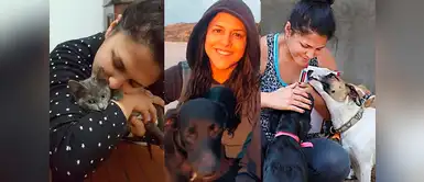 Premios Wapa 2018: Anais Anaya, una mujer que ama y lucha por los derechos de los animales Premios Wapa 2018: Anais Anaya, una mujer que ama y lucha por los derechos de los animales