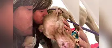 Esta historia te hará llorar, y también reflexionar sobre el maltrato hacia los animales. Ella adoptó a perrito con cáncer, antes de morir la joven le dio todo el amor del mundo