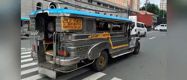 Sus buses son muy originales Sus buses son muy originales