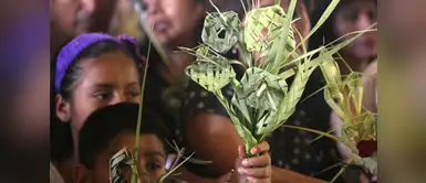 Conoce el significado de las palmas benditas que se compran el Domingo de Ramos Semana Santa: Conoce el significado de las palmas del Domingo de Ramos