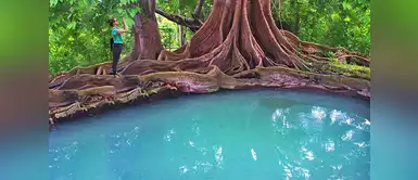 Baños Sulfurosos de Oromina Baños Sulfurosos de Oromina