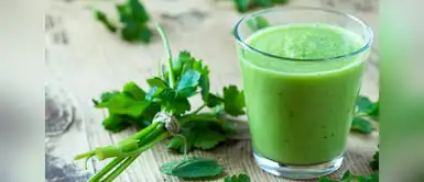 Seis beneficios que nos ofrece el perejil 6 beneficios que nos ofrece el perejil