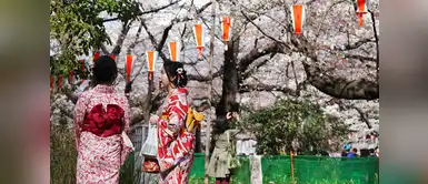 A mediados de marzo empezaron a aparecer las primeras flores A mediados de marzo empezaron a aparecer las primeras flores