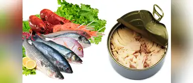 Con estos sencillos consejos cuidarás tu salud y la de tu familia. Semana Santa 2018: Aprende a reconocer un pescado fresco y conservas en buen estado