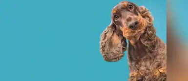 ¡Te estoy mirando! ¡Te estoy mirando!