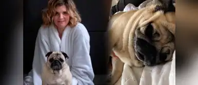 Instagram: Molleja, la mascota de Johanna San Miguel, alentó así a la selección peruana Instagram: Molleja, la mascota de Johanna San Miguel, alentó así a la selección peruana