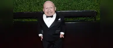 Verne Troyer Verne Troyer