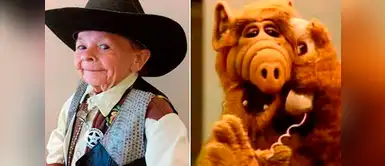 Mihaly Michu Meszaros Mihaly Michu Meszaros