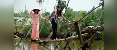 Los Puentes para Monos, en Vietnam Los Puentes para Monos, en Vietnam