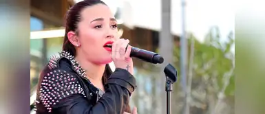 Demi Lovato (2013) Demi Lovato (2013)