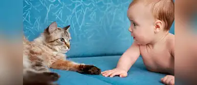 ¿Los bebés menores de un año pueden vivir con mascotas? / Vix ¿Dejarías que tu bebé juegue con mascotas en su primer año de vida? La ciencia te responde