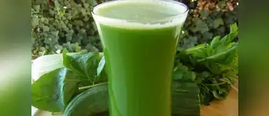 Licuados para adelgazar / Pensamento Verde Ocho efectivos licuados que te harán perder hasta 10 kilos