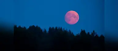 ¿Cómo podría afectar mi vida la luna rosa? La luna rosa del 30 abril podría afectar la vida amorosa de cada signo
