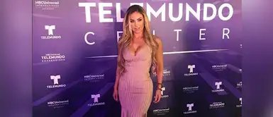 Aracely Arámbula y sus sensuales fotos en bikini Aracely Arámbula enamoró a todos en Instagram con video de fotos en bikini