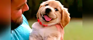 Ahora tu fiel amigo canino podrá advertirte si una persona es mala o no. Tu perrito es capaz de detectar si alguien quiere hacerte daño, según estudio