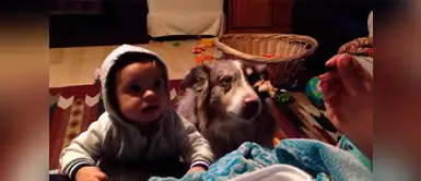 La mamá no solo enseñaba a hablar a su hijo, sino también, a su mascota. Mamá intenta que su bebé diga su nombre, pero el perro les da una gran sorpresa