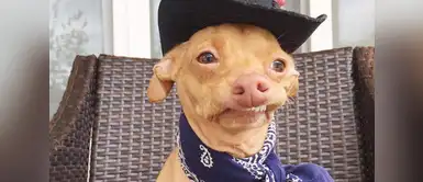 @Tunameltsmyheart @Tunameltsmyheart