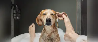 @Thiswildidea @Thiswildidea