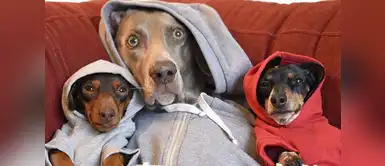 @harlowandsage @harlowandsage