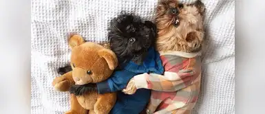 @Digbyvanwinkle @Digbyvanwinkle