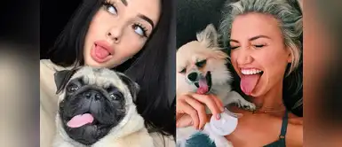 Es posible que nunca te hayas hecho esta pregunta, pero su aparición en tu vida no es coincidencia. ¿Nuestro perrito es un ángel guardián? Descubre su hermoso papel en la vida