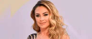 La talentosa actriz mexicana celebra a su manera el Día de la Madre. Instagram: Aracely Arámbula celebra el Día de la Madre en México con divertidas frases
