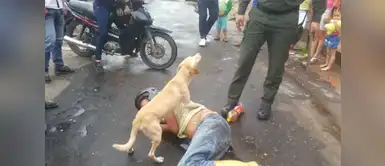 El video que se hizo viral en Facebook muestra como el perro defiende ferozmente a su dueño. Perro defiende con furia a su dueño que encuentra lastimado en la calle
