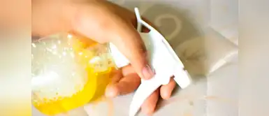 Con estos consejos podrás eliminar los ácaros de tu colchón. ¿Quieres desinfectar tu colchón? Sigues estos cinco consejos