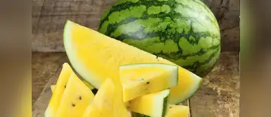 Conoce las bondades de la "sandía amarilla" o "sandía melón" Conoce las bondades de la "sandía amarilla" o "sandía melón"