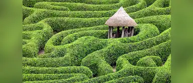 Glendurgan Garden (Cornwall, Reino Unido) Glendurgan Garden (Cornwall, Reino Unido)