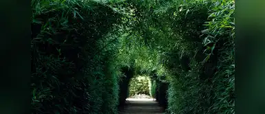 Labirinto della Masone (Parma, Italia) Labirinto della Masone (Parma, Italia)