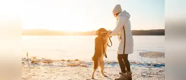 Esta carta te hará llorar. “Carta abierta a mi perro que está en el cielo”