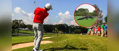Video de Youtube muestra el preciso momento en el que un caimán sorprende a jugadores de golf. Youtube: animal de tres metros de largo se pasea por un campo de golf