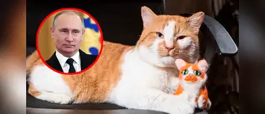 Tierno animalito venció al presidente ruso Vladimir Putin Instagram: Este gato inauguró el puente de Crimea antes que Putin