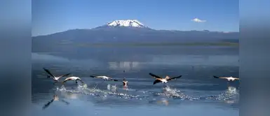 Laguna Parinacochas Laguna Parinacochas