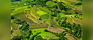 Valle del Vipava Valle del Vipava