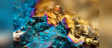 Adivina cuál es tu signo alquimista Adivina cuál es tu signo alquimista