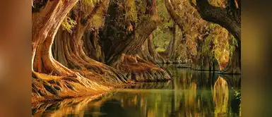 Lago de Camecuaro, Michoacán Lago de Camecuaro, Michoacán