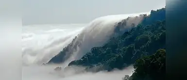 Bosque de Niebla El Triunfo, Chiapas, Mexico Bosque de Niebla El Triunfo, Chiapas, Mexico