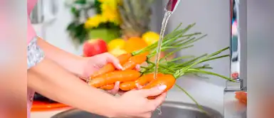 Estos alimentos mejoran tu fertilidad. 5 alimentos que mejoran tu fertilidad y te ayudan a quedar embarazada