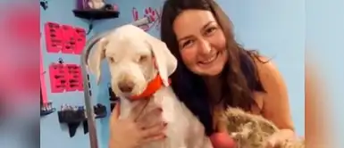 El video se encuentra disponible en YouTube. Mujer cambió look a un perrito callejero por esta sorprendente razón