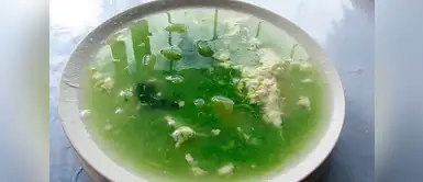 Sigue esta receta y aprende a prepara un riquísimo caldo verde. ¿Cómo preparar caldo verde? Aquí la receta cajamarquina
