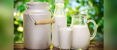 Día Internacional de la leche: ¿Cuántos litros de leche consumen los peruanos? Día Internacional de la leche: ¿Cuántos litros de leche consumen los peruanos?
