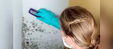 ¿Cómo eliminar el moho de las paredes? Tres efectivos trucos caseros para eliminar el moho de las paredes